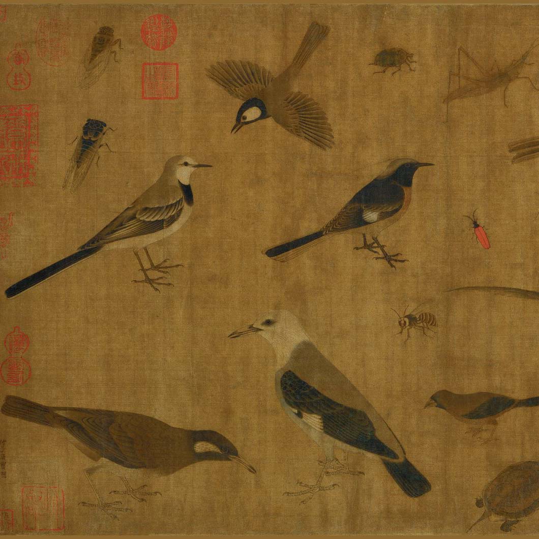 Sketches of Birds and Insects