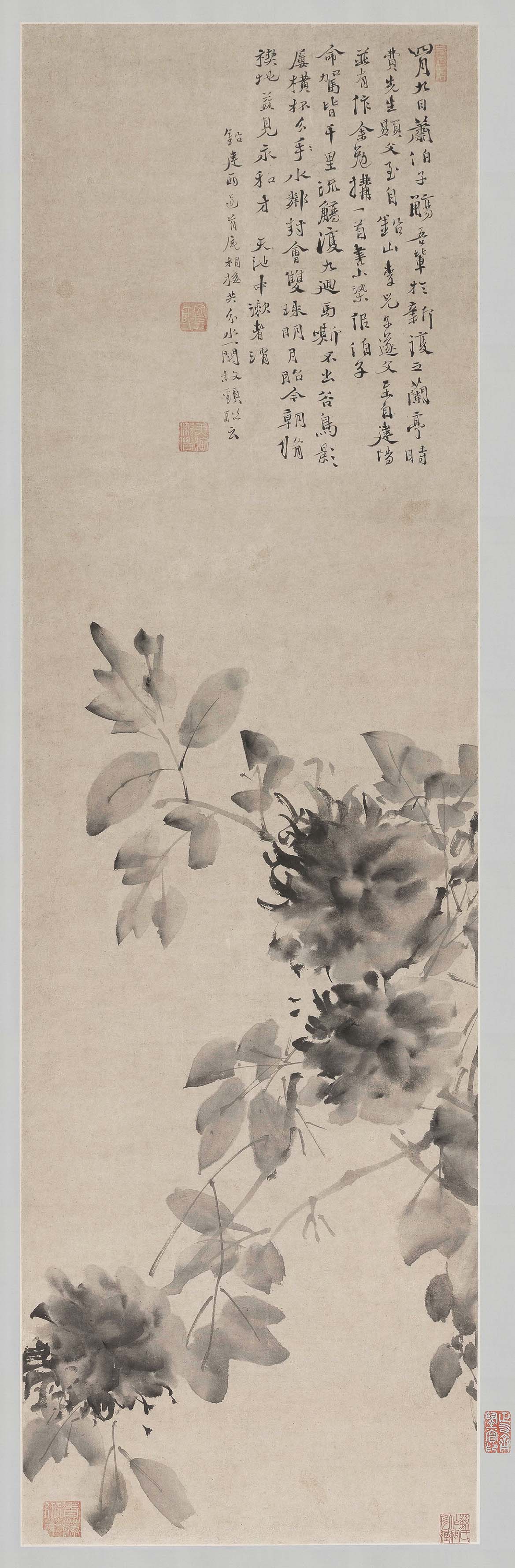 Peony — Ming dynasty (1368-1644) painting by Xu Wei
