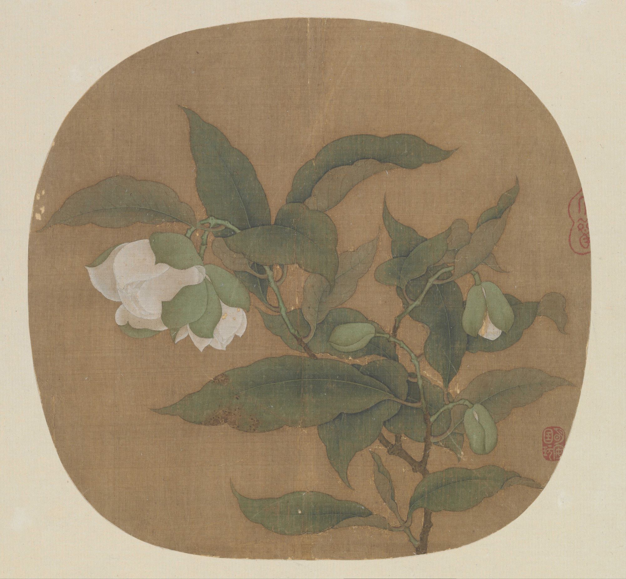 Magnolia coco — Song dynasty (960-1279) painting by Anonymous