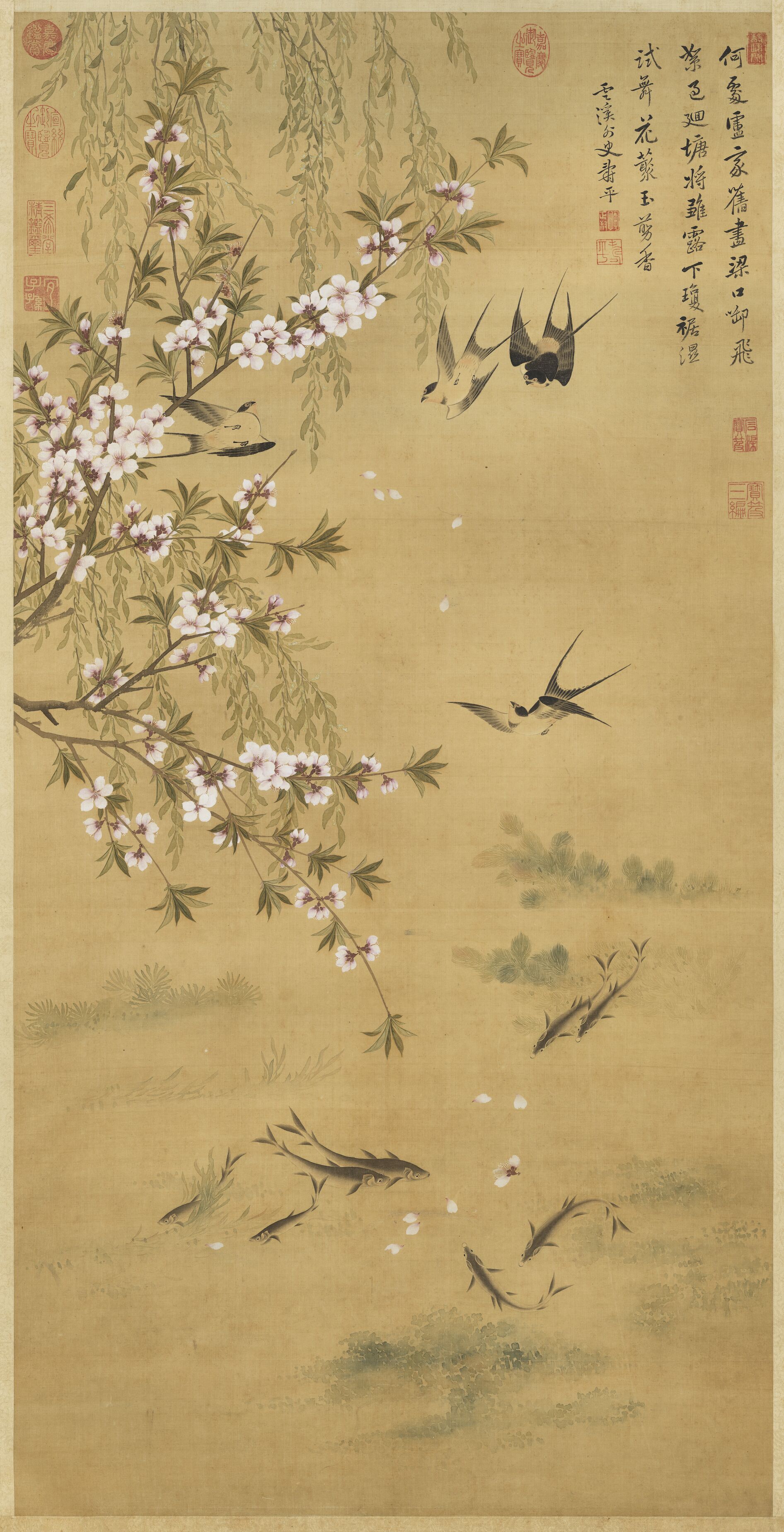 Joyful Swallows and Playful Fishes — Qing dynasty (1644-1911) painting by Yun Shouping