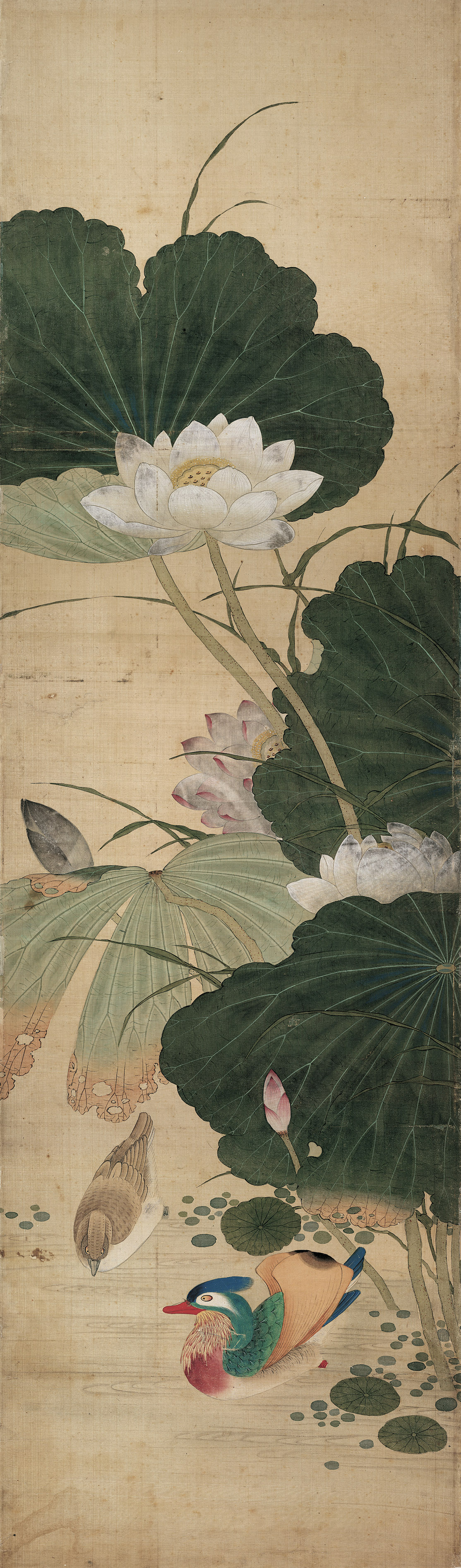 Four Seasons Bird-and-Flower Folding Screen, Panel Five — Qing dynasty (1644-1911) painting by Chen Mei