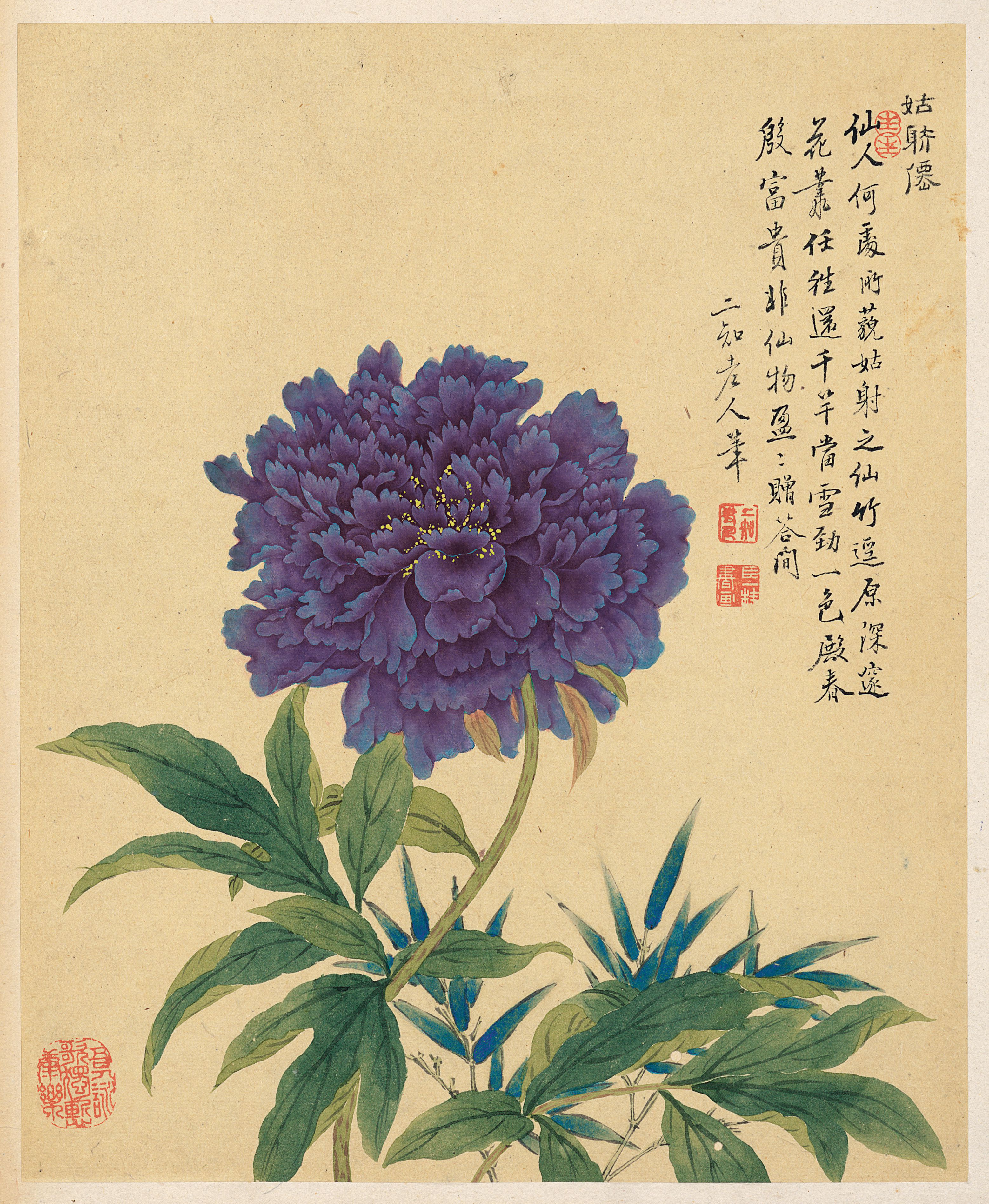Peony — Qing dynasty (1644-1911) painting by Zou Yigui