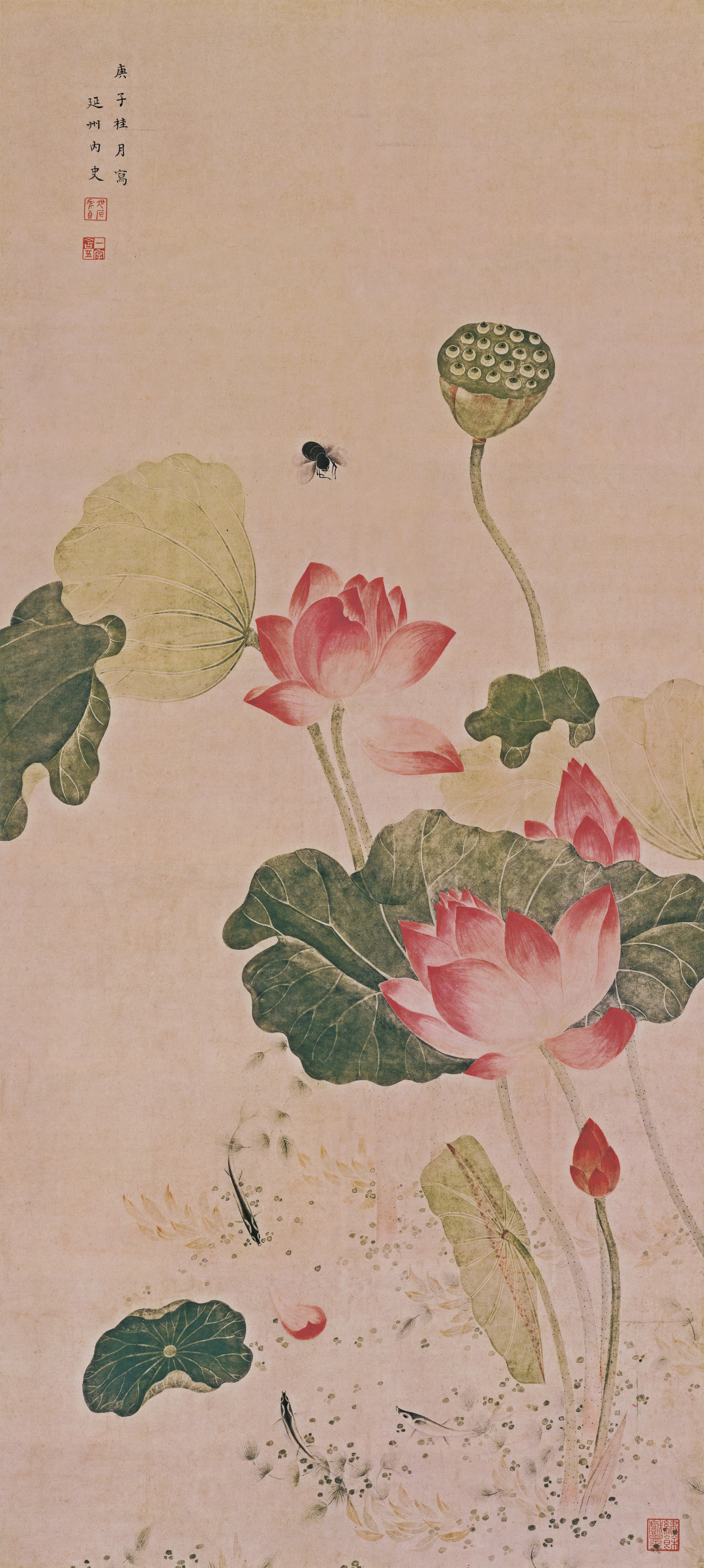 Lotus — Qing dynasty (1644-1911) painting by Wu Yingzhen